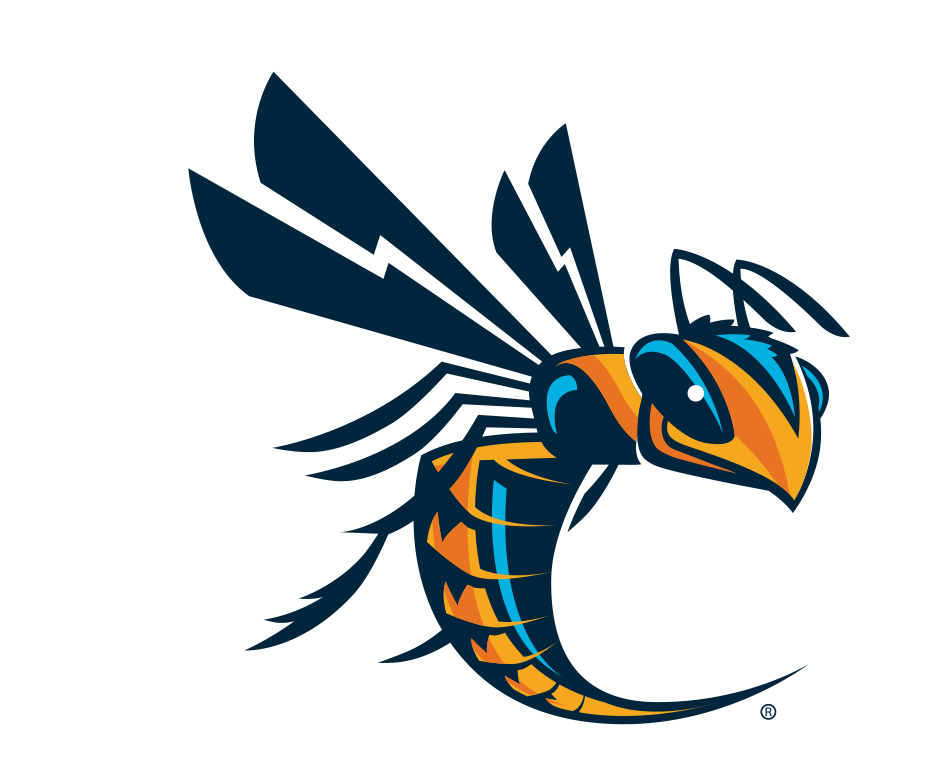 Cedarville Men's Basketball Camps